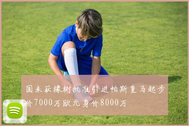 国米获橡树批准引进帕斯皇马起步价7000万欧元身价8000万